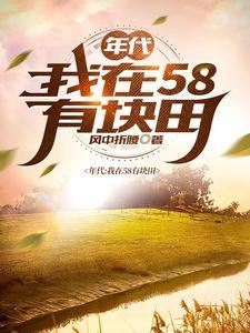 年代我在58有块田笔趣阁 年代我在58有块田笔趣阁