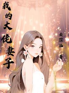 我的大佬老婆3 我的大佬老婆3