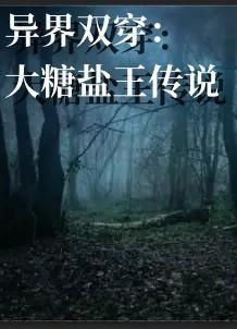 异界双穿大糖盐王传说 异界双穿大糖盐王传说