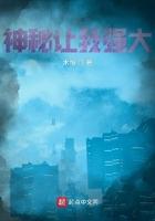 神秘让我强大笔趣阁TXT 神秘让我强大笔趣阁TXT