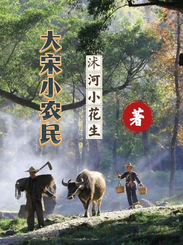 大宋小中医 大宋小中医