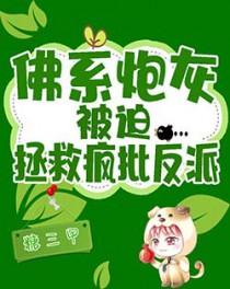 佛系炮灰txt