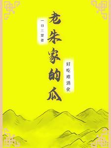 老朱家食品厂 老朱家食品厂