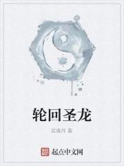 轮回圣典 轮回圣典