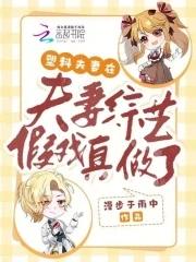 塑料夫妻也很甜 塑料夫妻也很甜