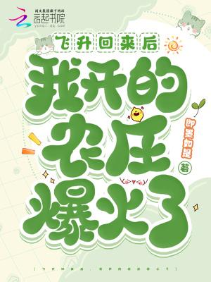 我飞升后的那些日子