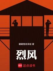 烈风天翼 烈风天翼