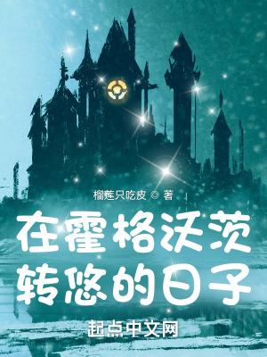 在霍格沃茨转悠的日子起点 在霍格沃茨转悠的日子起点