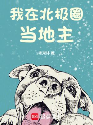 我在北极光下阅读 我在北极光下阅读