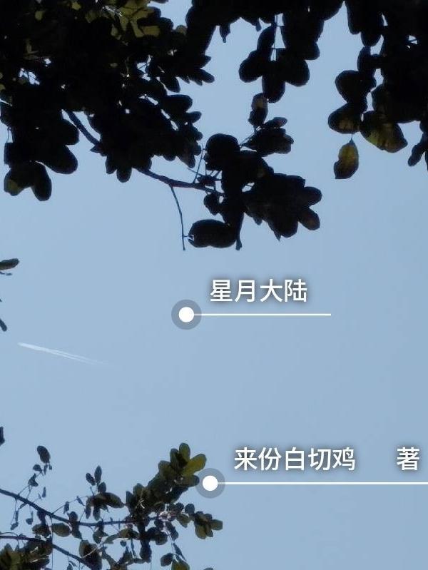 星月设计图斗罗大陆