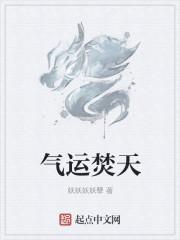 气运天下 气运天下