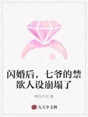 闪婚宠爱七爷 闪婚宠爱七爷