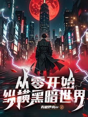 从零开始暗夜奏鸣全文阅读 从零开始暗夜奏鸣全文阅读