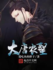 大唐农圣txt精校