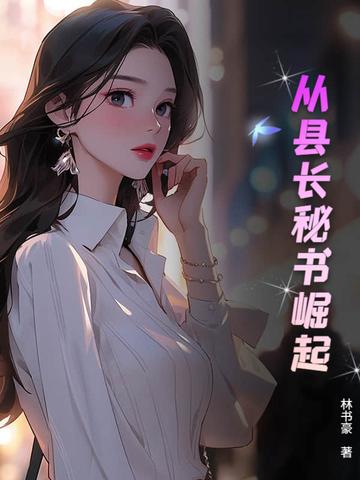 从县长到书记 从县长到书记