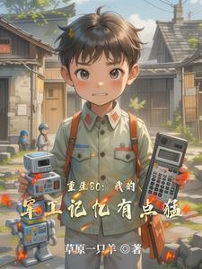 重生八十年代发展军工的 重生八十年代发展军工的
