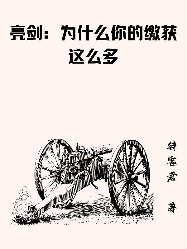 亮剑为什么你的缴获这么多 亮剑为什么你的缴获这么多