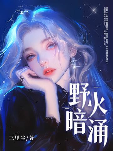 野火gui 野火gui