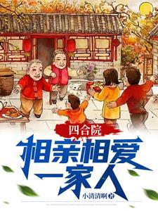 四合院相亲相爱一家人 又是一个混子 四合院相亲相爱一家人 又是一个混子