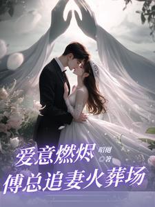 前夫追回前妻的 前夫追回前妻的