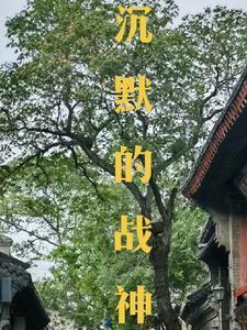 沉默的二少 沉默的二少