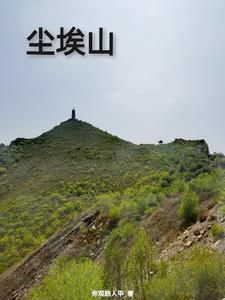 尘埃山免费观看全集 尘埃山免费观看全集