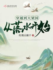穿越到大梁姓韩的 穿越到大梁姓韩的