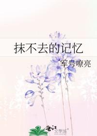 抹不去的回忆600字 抹不去的回忆600字