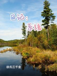日记系统助我封神 日记系统助我封神