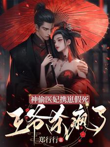 神偷王妃免费阅读 神偷王妃免费阅读