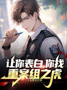 重案组故事 重案组故事