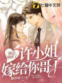 顾总别虐了许小姐嫁给你哥了全文免费阅读 顾总别虐了许小姐嫁给你哥了全文免费阅读