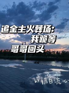金主追妻 金主追妻