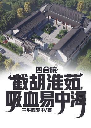 老宅四合院 老宅四合院