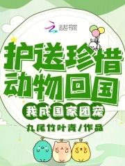 我成了国家团宠 我成了国家团宠