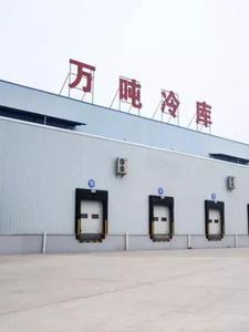 四合院之开局娶个售货员简介 四合院之开局娶个售货员简介