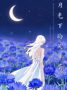 月光下的真实 月光下的真实