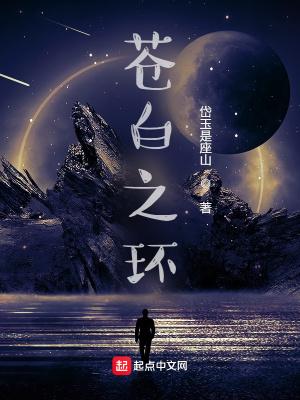 hollow knight苍白之王 hollow knight苍白之王