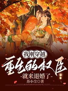 穿越后我成了权臣的掌中 穿越后我成了权臣的掌中