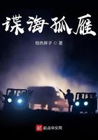 电视剧谍海孤岛 电视剧谍海孤岛