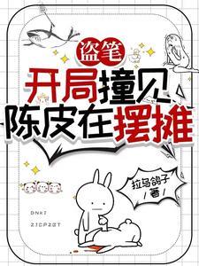 盗墓 从老九门 盗墓 从老九门