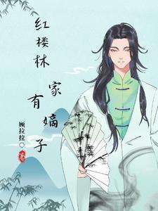 红楼之林家有子 ...
