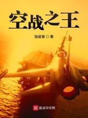 空战之王2安装 空战之王2安装