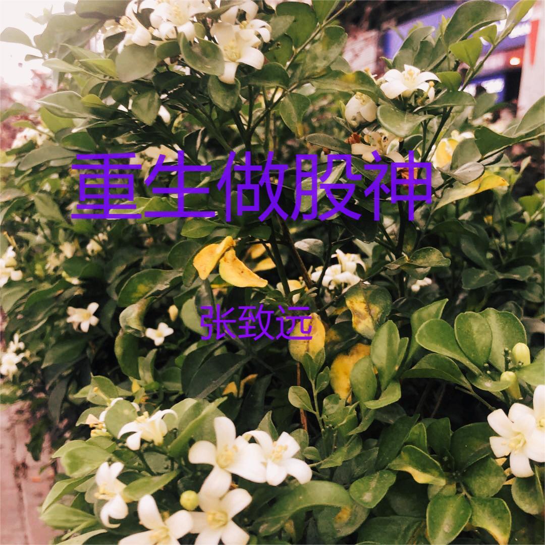 重生做股神txt 重生做股神txt