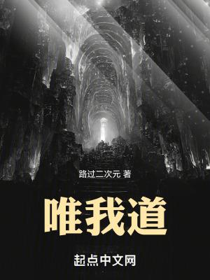 唯我道无防盗全文笔趣阁 唯我道无防盗全文笔趣阁