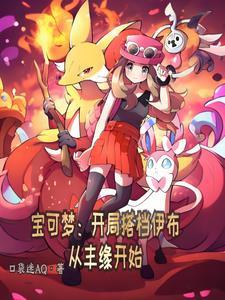 宝可梦大探险开局伊布 宝可梦大探险开局伊布