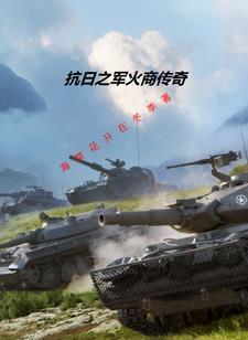 我在抗日卖军火免费观看 我在抗日卖军火免费观看