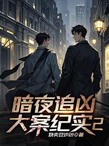 暗夜微光曲罢的 暗夜微光曲罢的