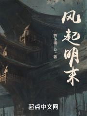 风起明末三万里 风起明末三万里