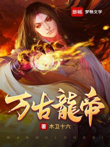 万古龙帝境界划分